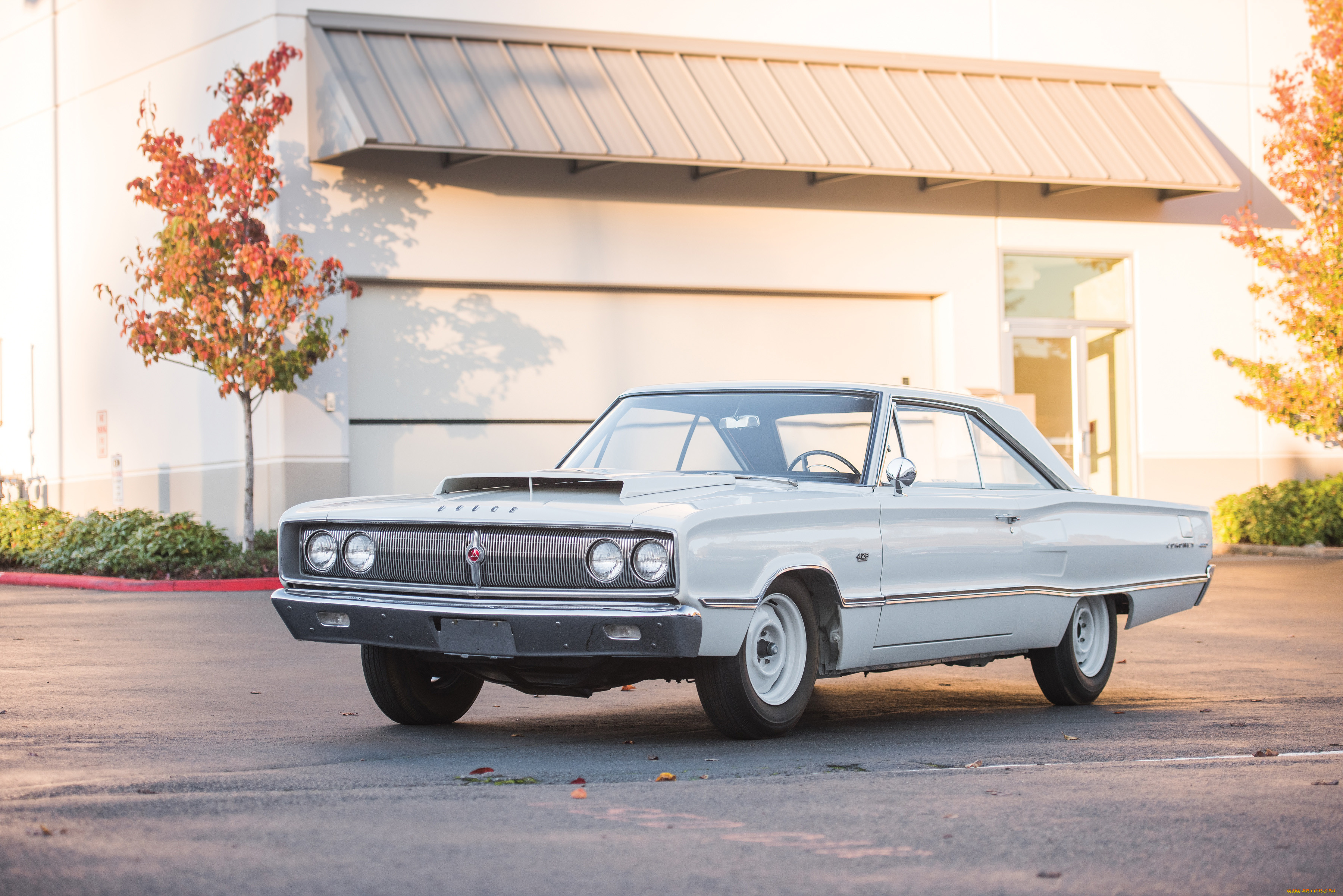 , dodge